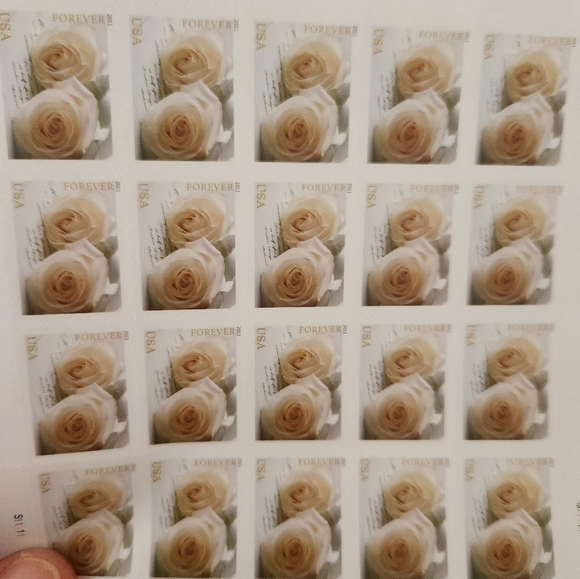 Set of 1000   White Rose Lifetime Stamps Very Rare and perfect foe Weddings. - Picture 2 of 2